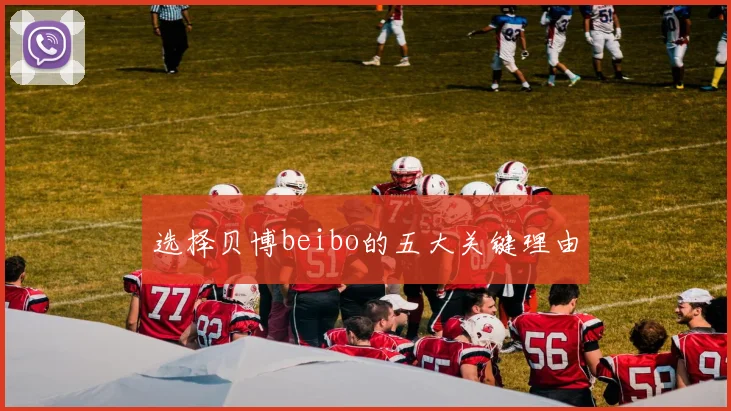 选择贝博beibo的五大关键理由