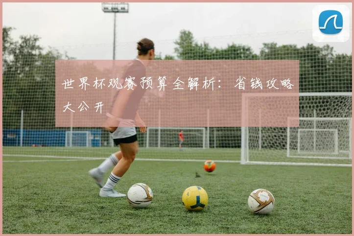 世界杯观赛预算全解析：省钱攻略大公开