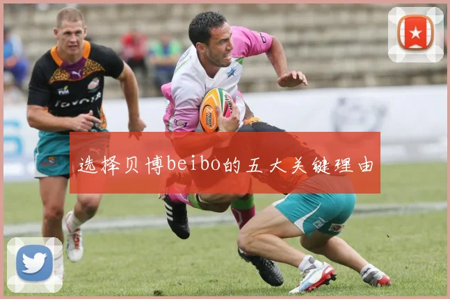 选择贝博beibo的五大关键理由