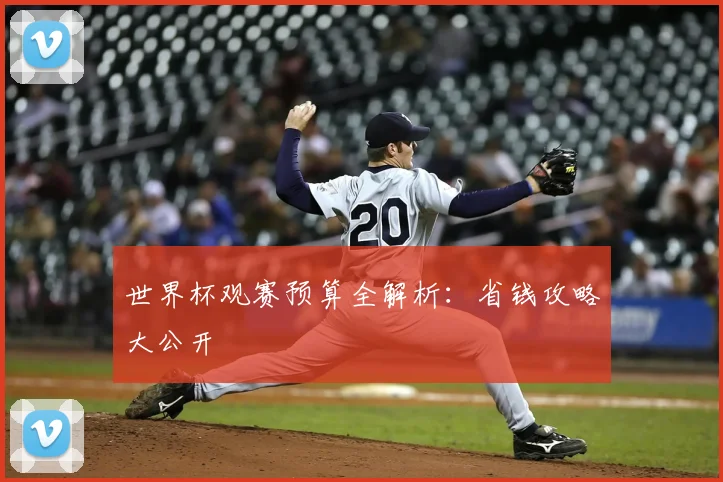 世界杯观赛预算全解析：省钱攻略大公开