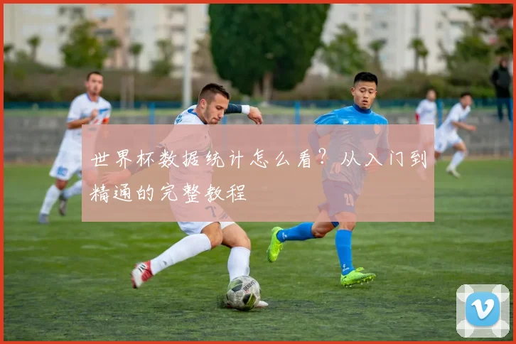 世界杯数据统计怎么看？从入门到精通的完整教程