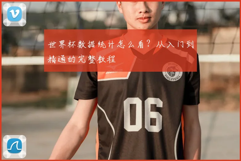 世界杯数据统计怎么看？从入门到精通的完整教程