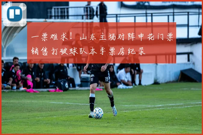 一票难求！山东主场对阵申花门票销售打破球队本季票房纪录